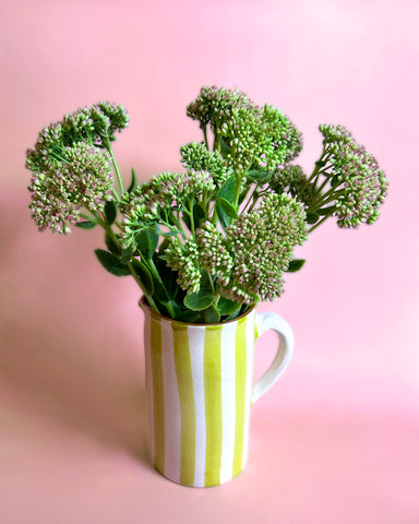LIME STRIPE TERRACOTTA JUG